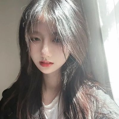 狗的审判 封面