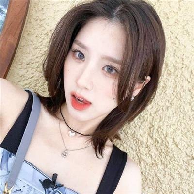 熊战士 封面